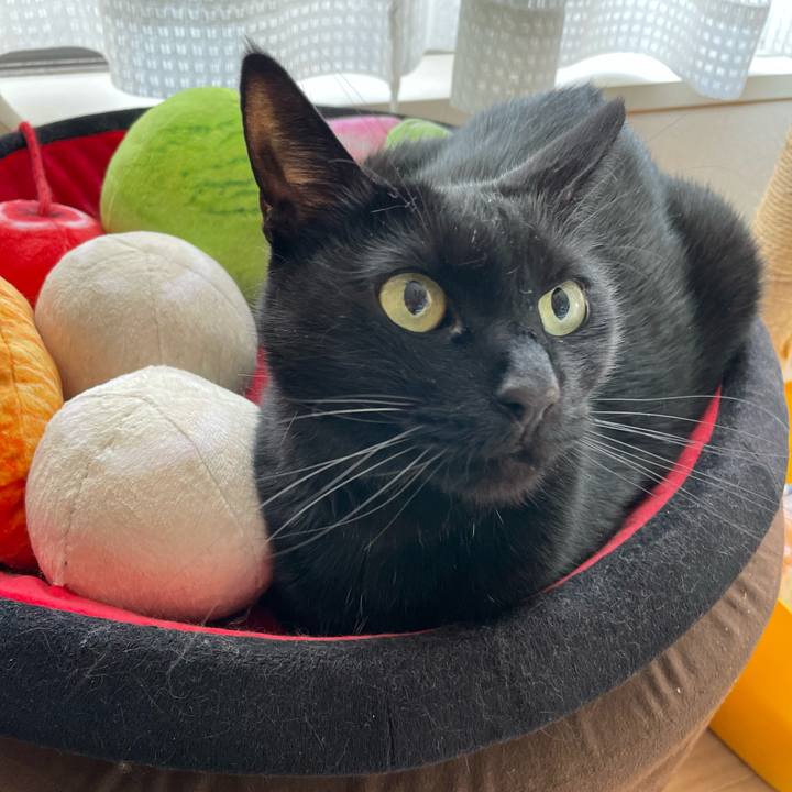 26eeeff6 9485 4de2 a1e0 7ffe5dc3283c 1678498893447