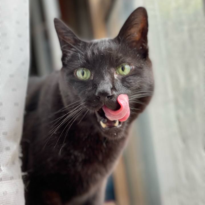 26eef00d fab2 44e7 80ca cda7004b5e69 1655257671064