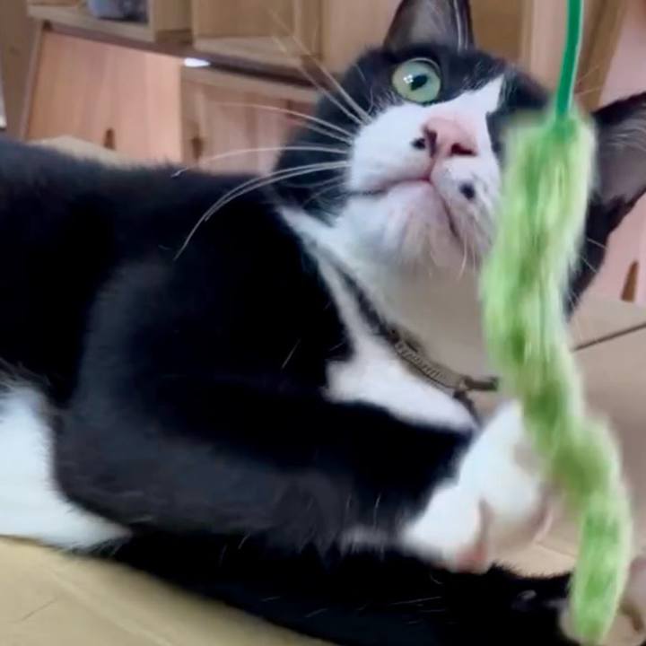 26ef200b 4ab8 4be5 b824 a6ff8e487b64 1728446746666