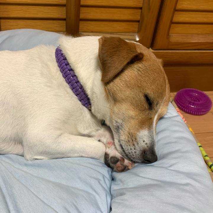 26ef22cd 6d0c 4ffb 9a1b 7f0456006444 1590143462734