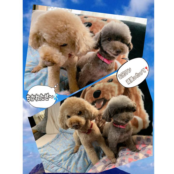 26ef2c45 dbb5 4c1f b01b 8cde14162685 1614237987329