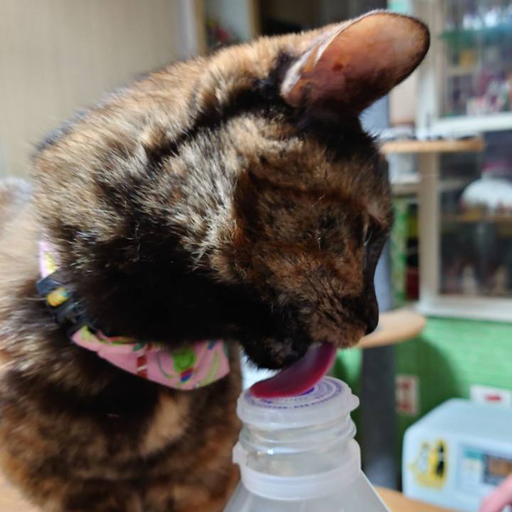 26ef4278 97f9 4552 93bd dfb1f3b1d491 1614306097613