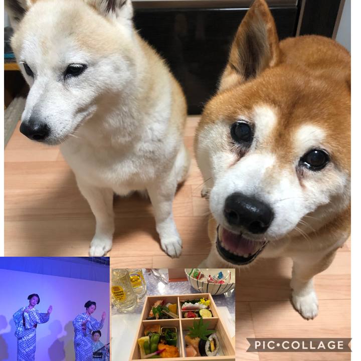 26ef45f8 3088 4050 9bc1 01d1ff9233b0 1567033797359