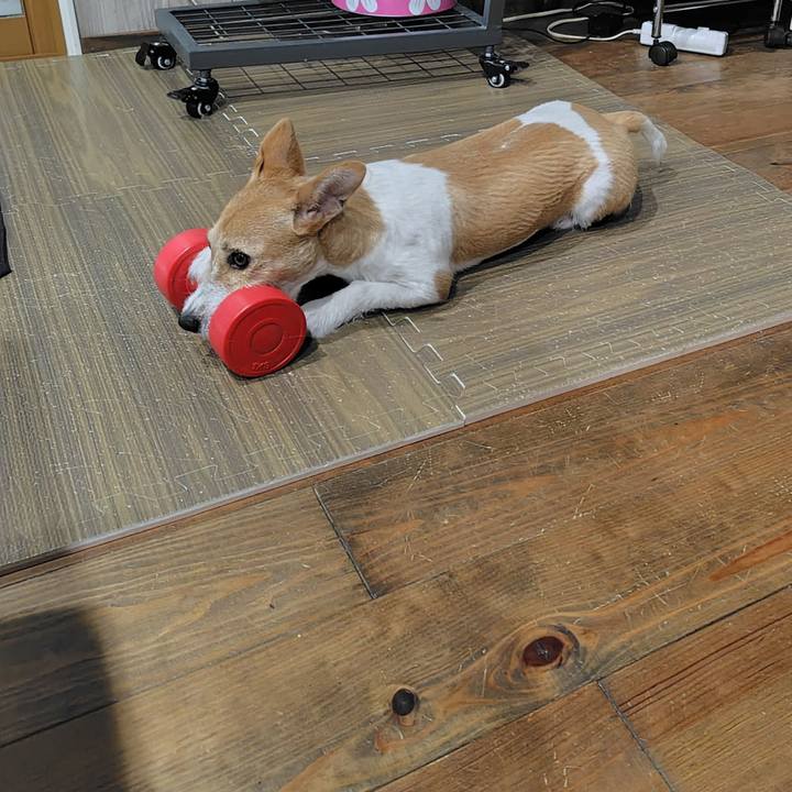 26ef6cf0 a252 4c8f 9849 25d275206750 1723736765637