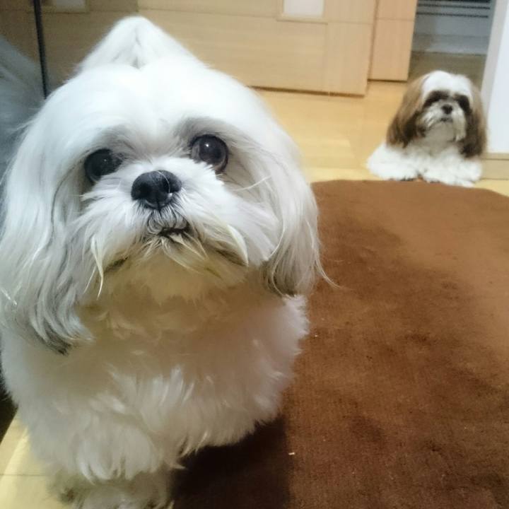 26ef79ab 58a5 45fa 8d62 432060b6bd9d 1512998863596