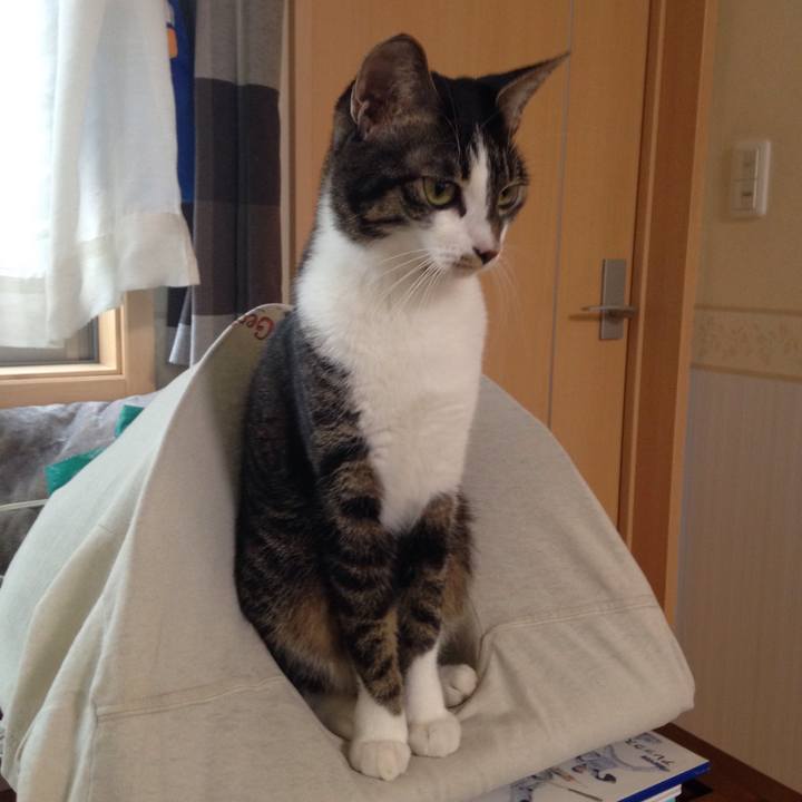 26efa5be fc41 4cf7 8b52 485cf0900ed0 1511449476879