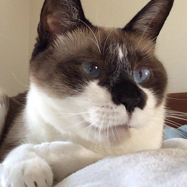 26efc2b8 acfe 49b8 a194 54456305eff0 1535599935588