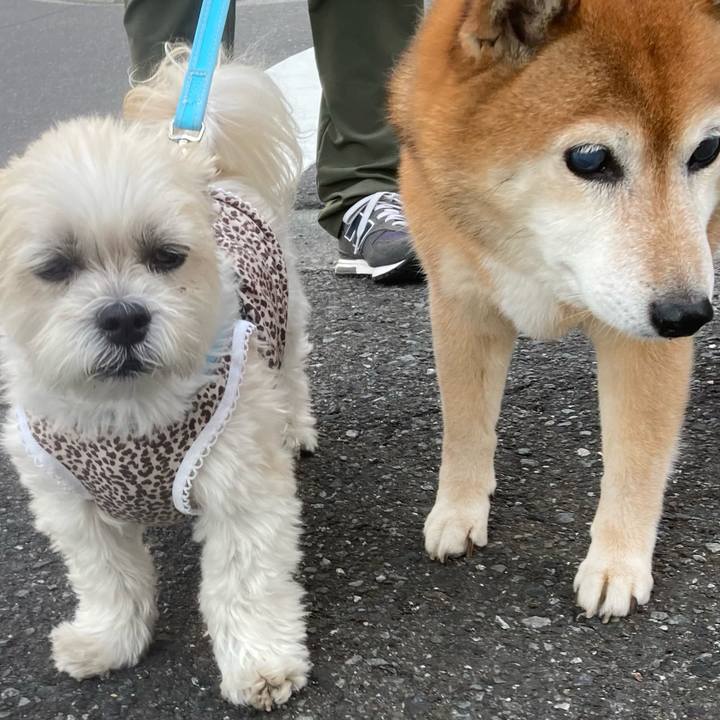 26efce5f 7b44 4af3 885d 74a9e89aef58 1687343156951