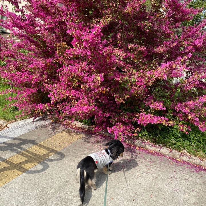 26efd926 e8c2 4d7b b8f3 4d2cf5d24beb 1745045354075