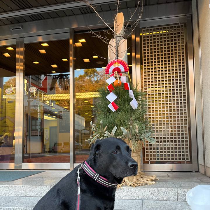 26f0343a 4928 4d67 a236 bf0594d6a3d7 1766912039986