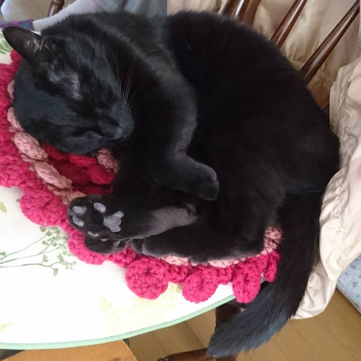 26f05362 6570 42ad be3f 53070ce971f2 1556408647491