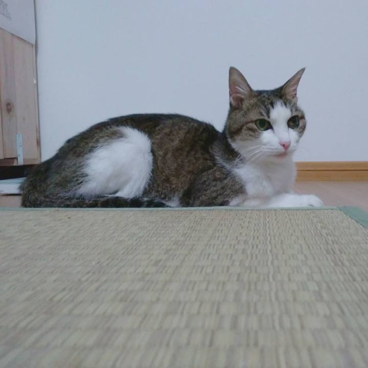 26f072b0 d13b 4f0a 865d 7966b72aba90 1537269265743