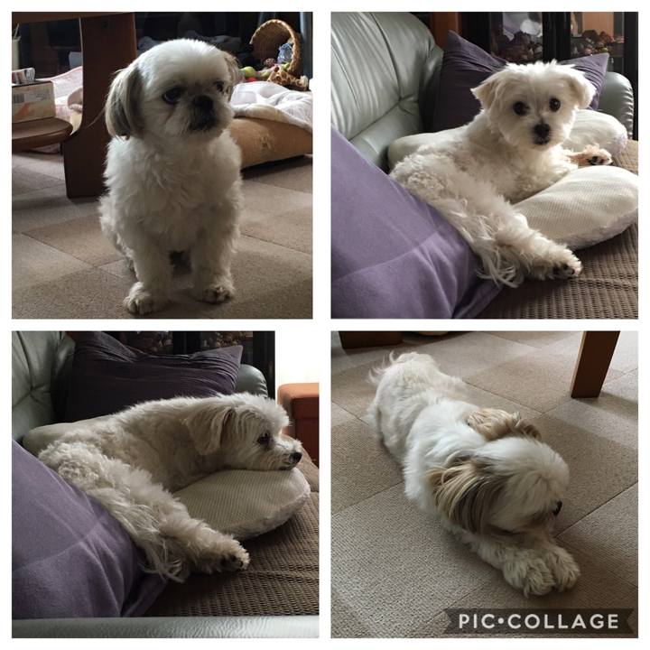 26f08dfb 7f24 4849 9f76 f05a403dcde9 1562135654745