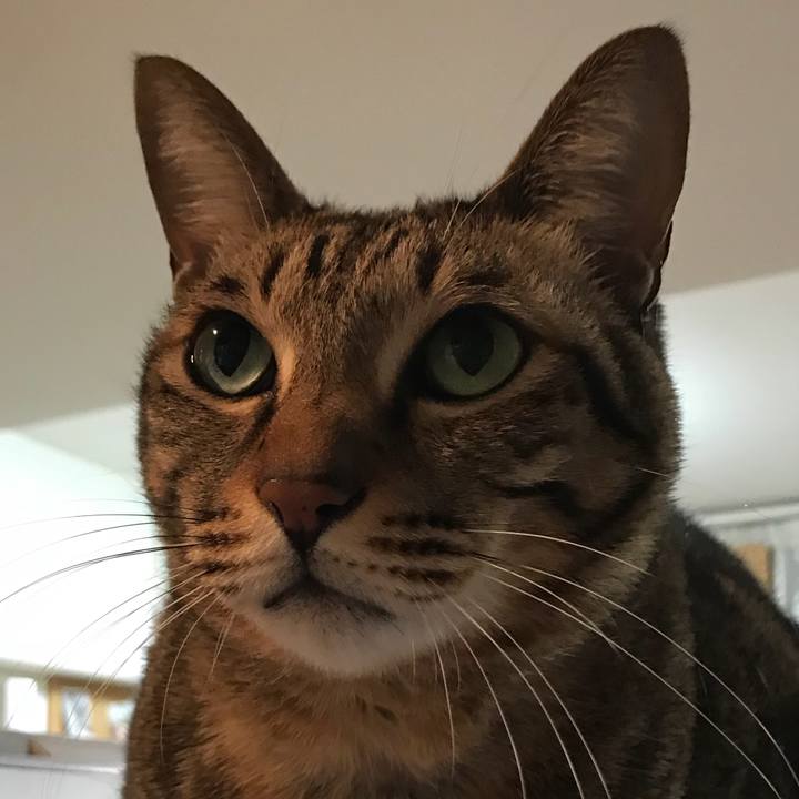 26f09846 fd19 44f2 80b4 302276534c10 1514308526157