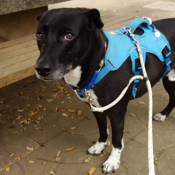 26f0c86e 43c1 4f7d 9361 34311252940d 1637022130500