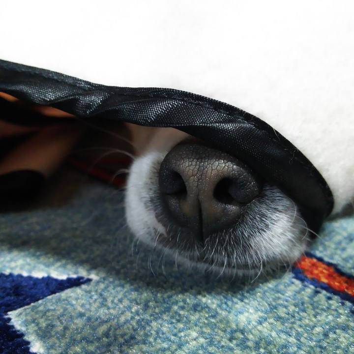 26f0df53 5a8d 4b74 8e1d 21f03b557cc7 1511040837430