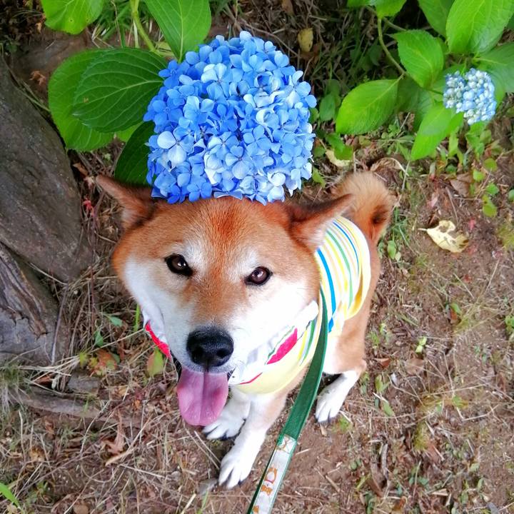 26f0f1eb 68a1 4ff1 ac59 8bec6b26924e 1657530232600