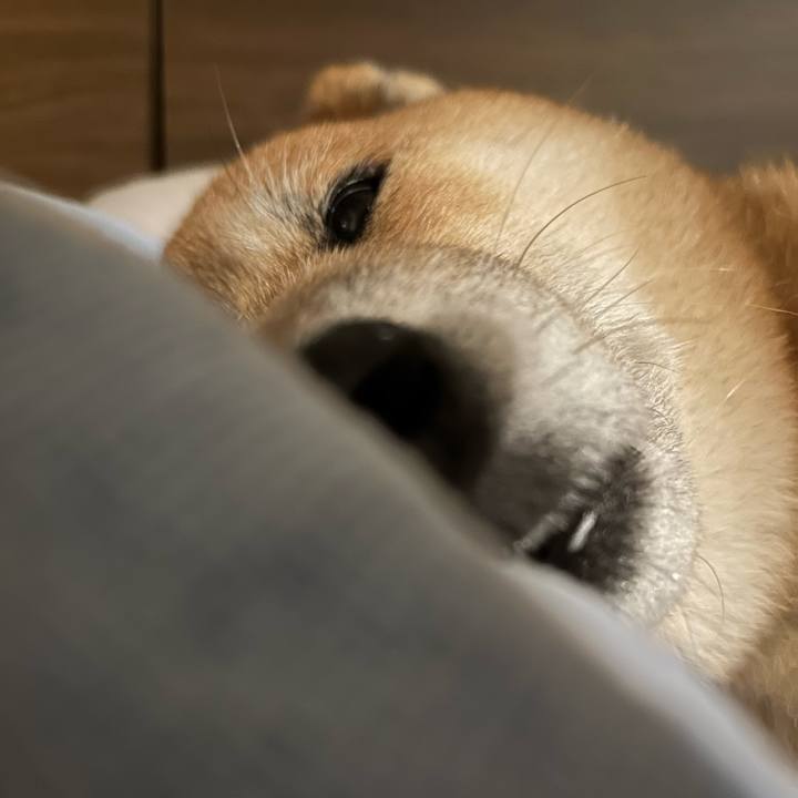 26f11b00 2bd3 41c9 a581 57dd706f4fda 1759184078514