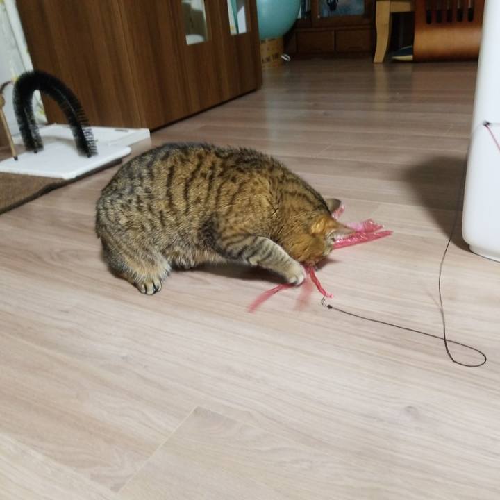 26f141a2 1de6 42a6 bf81 f56fdc5b4e84 1583236280483