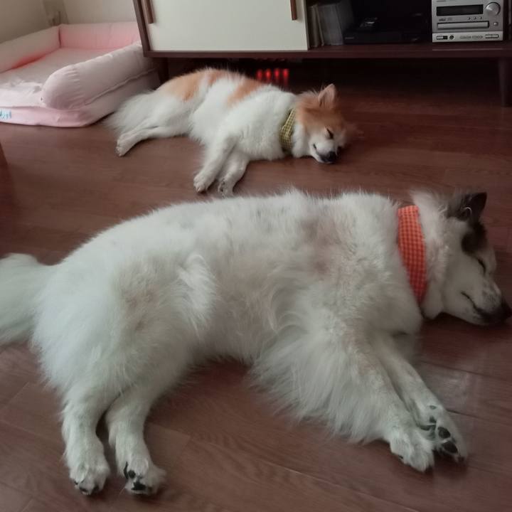 26f14f2e 00d4 4d96 a323 aabb1d9ada83 1662810252280