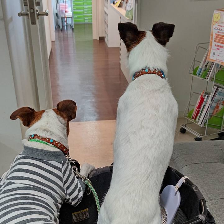 26f1aa5d ff83 47b9 a917 9d612e806892 1627710420826