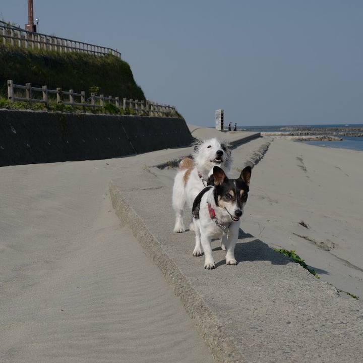 26f1bd5d 7b08 490f b2ce a6bdf567d0aa 1557457866901