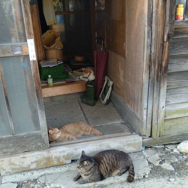 26f1c614 60da 4cb1 a489 0ea5448acbfd 1751275759137