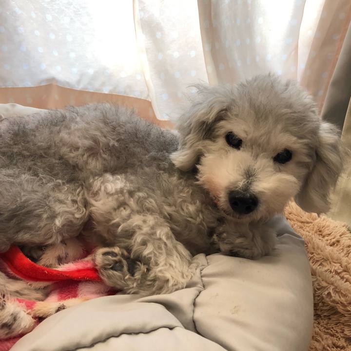 26f1c8af 23de 49bb a336 018c15bfef9e 1635293831122