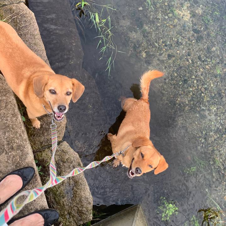 26f1e1dd 5bc1 4180 8f3d 5c871ae67731 1566340735865