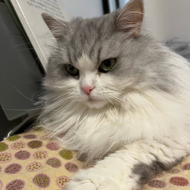 26f1eb50 7d30 4999 8304 7af2f200a995 1665311138054