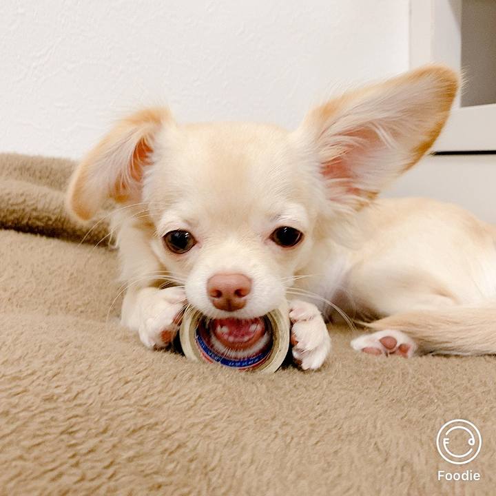 26f1f82a 31c7 4f54 a985 d895a189ba63 1601777912383