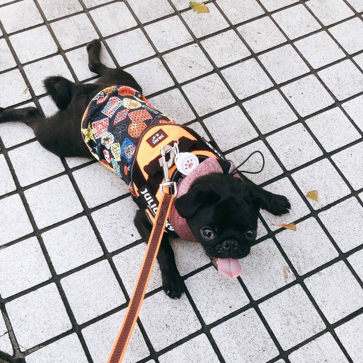 26f210c3 90ef 427a 89a1 068a5e29f72b 1599084952357