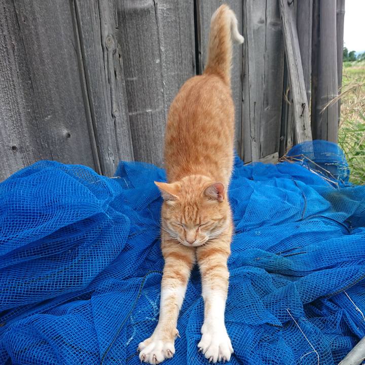 26f2225e c82a 44c0 b273 d3b3d3809856 1593931538753