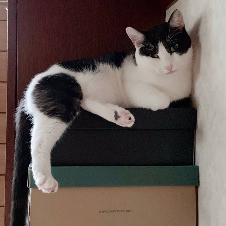 26f23c2e a5b1 46c8 bfb1 9a2fd952f62f 1539827319146