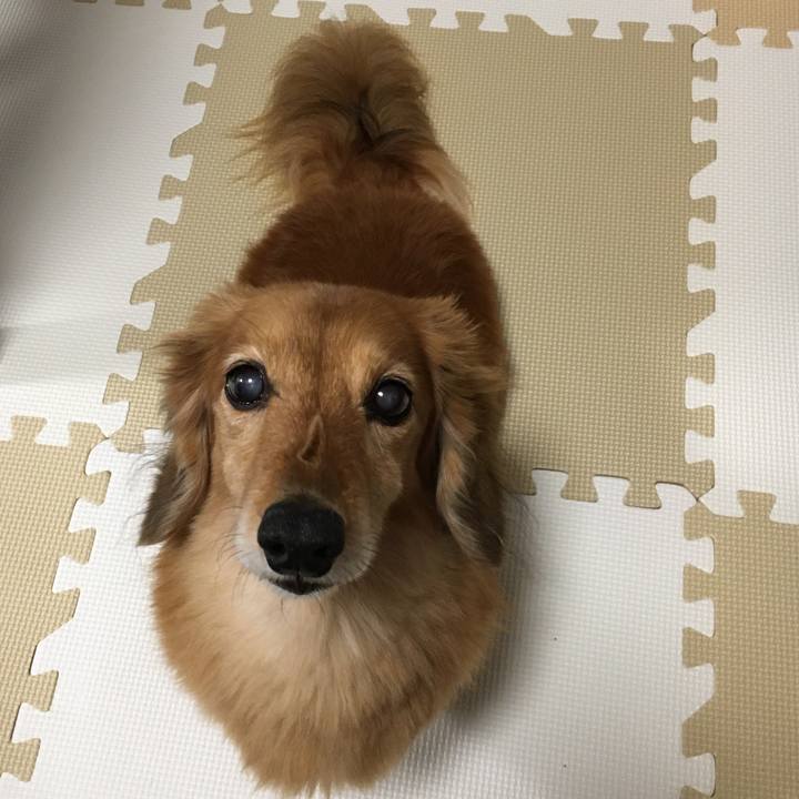 26f292b4 eb0c 42ab 8f12 9ad895b16c2f 1619350944367