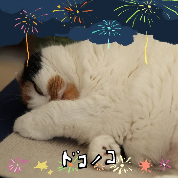 26f2bd02 b5b6 4757 80b8 50d01bff1393 1723243815103