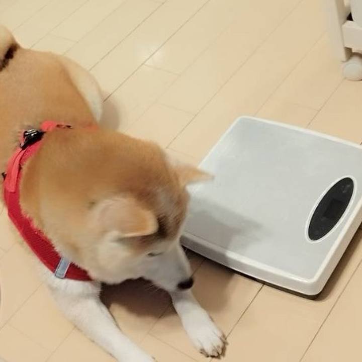 26f2f69d 12a8 4c08 95b4 9e71aace6a25 1733084006485