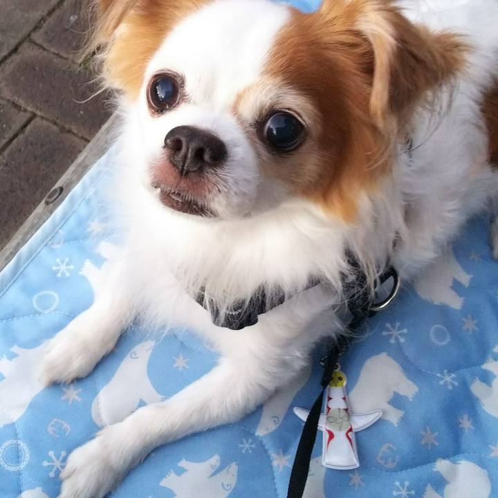 26f3183d 7f9a 46f8 9b9e 5fc56c50e392 1532772890605