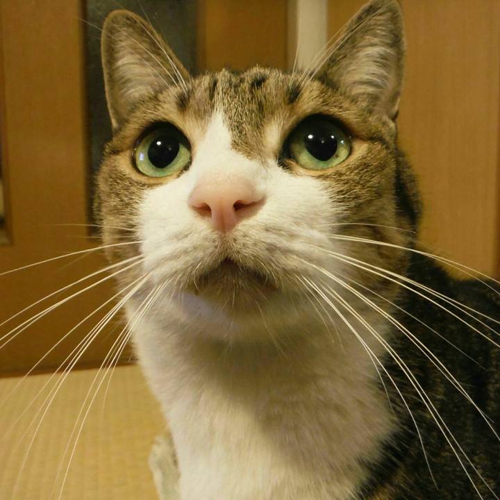 26f32325 3a08 4580 9d59 8334a1725aa5 1540853382075