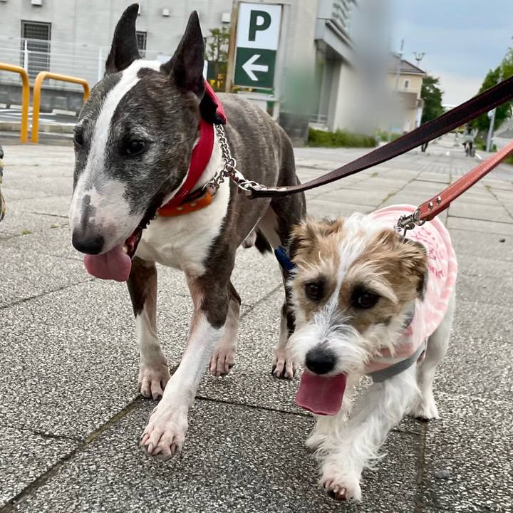 26f362b1 a7ad 43be 93f9 4342dec710ae 1628707100974