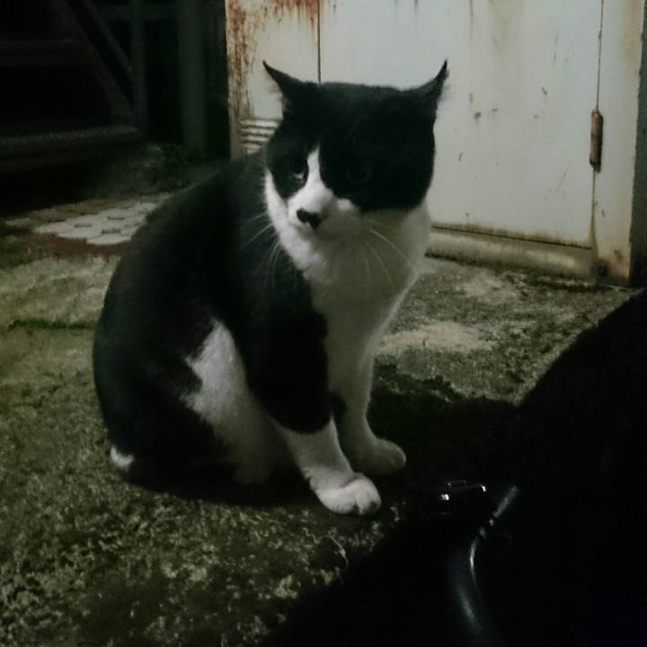 26f367dc 36d3 4104 bb68 96e551d49b73 1524826812304