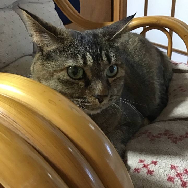 26f3bbc0 806b 4675 900c 13b805c04734 1726396230855