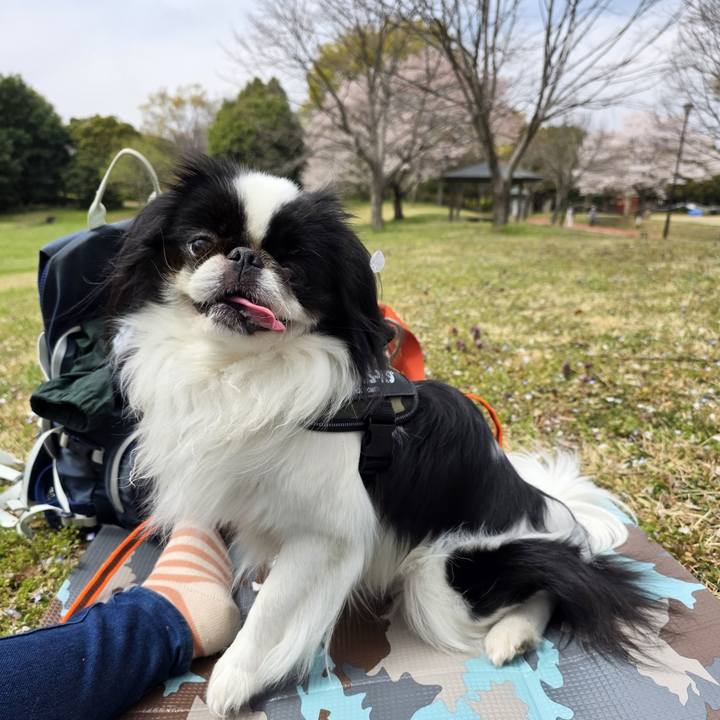 26f3bbd3 016b 4018 ac55 7f862f9b07d9 1743909326968