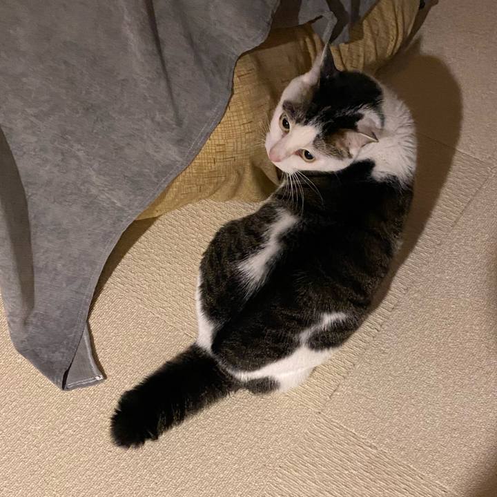 26f3e125 8396 4672 95c8 3efed18c01e9 1762272670944