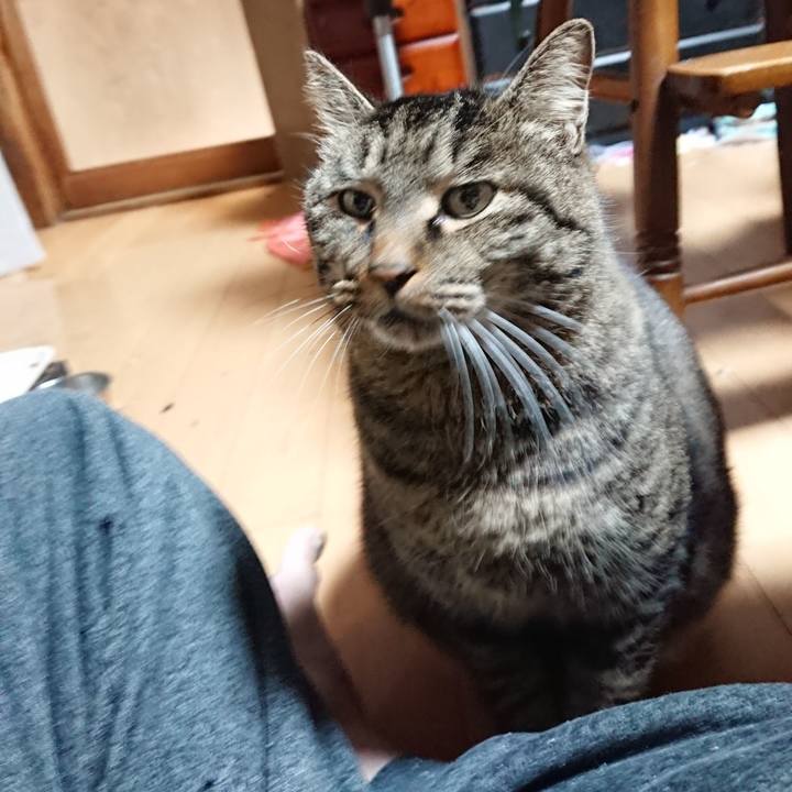 26f3f6d4 f81a 4b01 8b7b 9c95cd84c9b8 1639946412006