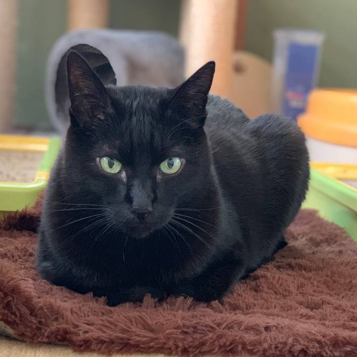 26f44419 14b9 4d6e 91eb 8423f9b649cf 1552527392196