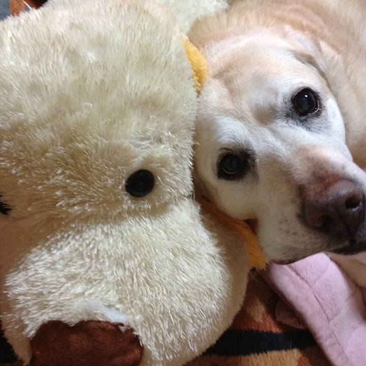 26f50c43 89c1 4570 9258 23a5997d4b49 1570690586557