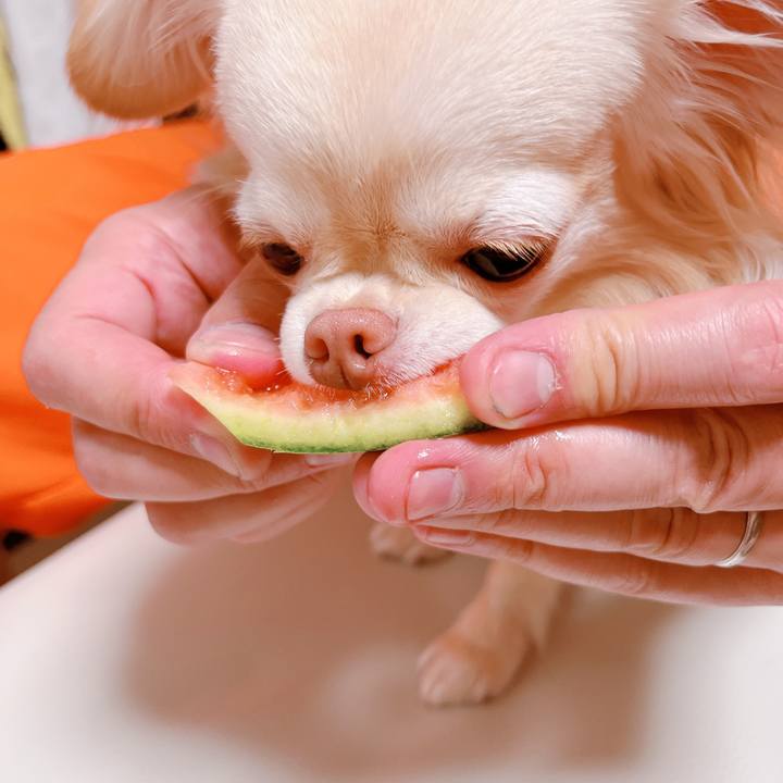 26f51417 ebbf 44e4 8f26 b8d8bc20996d 1653709530648