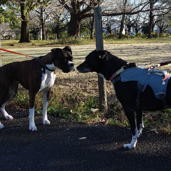 26f53790 d958 4a17 a290 ad37a7bc02e6 1731458076960