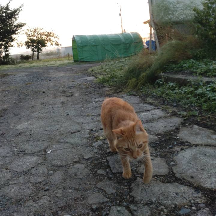 26f53d6d f8ee 40ba 9dd9 d1ef7673835f 1666129813840